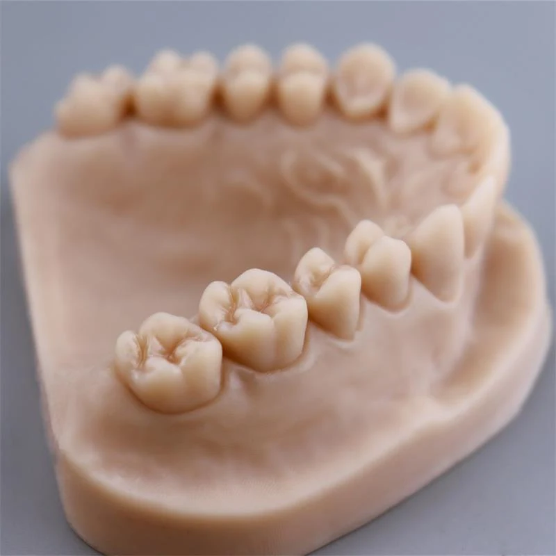 Super Maker DM400 Dental Model For Dlp 3d Printing