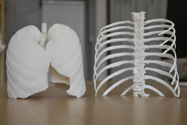 Sla 3d Printing For Educaiton